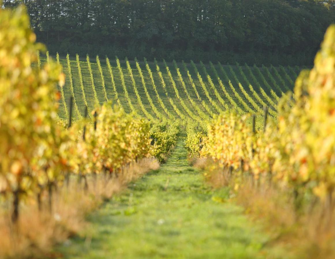 Denbies Vineyard Hotel Доркинг Экстерьер фото