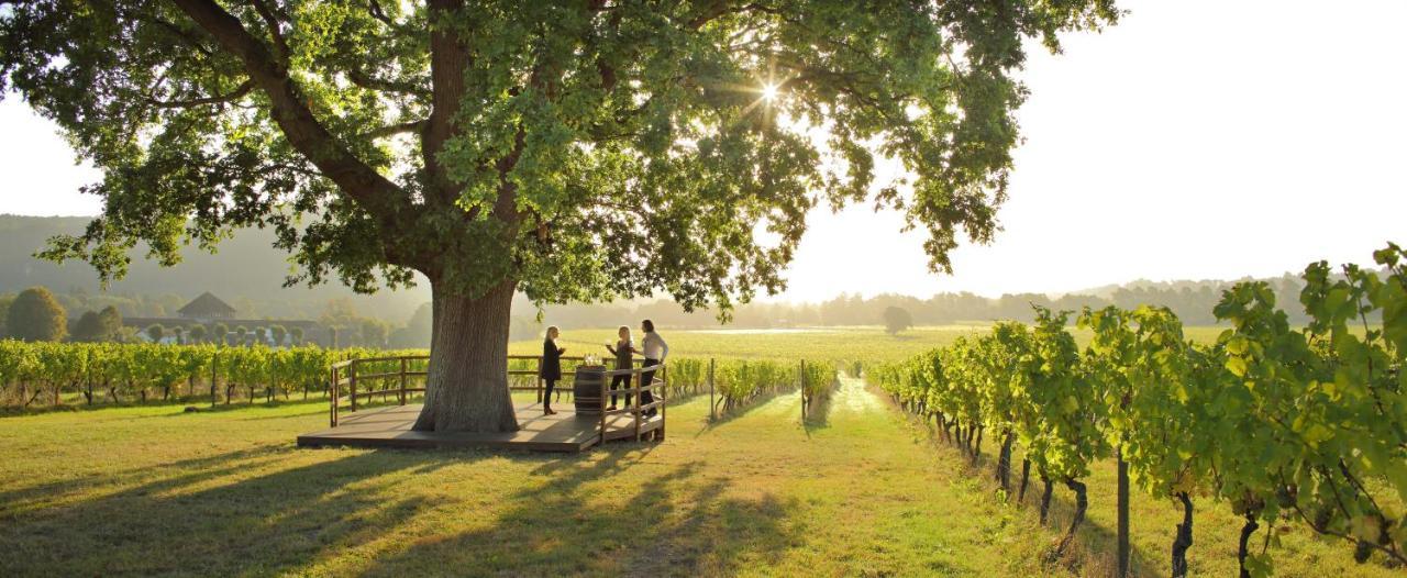 Denbies Vineyard Hotel Доркинг Экстерьер фото