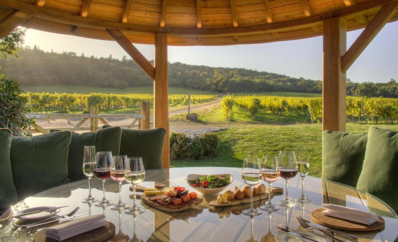 Denbies Vineyard Hotel Доркинг Экстерьер фото