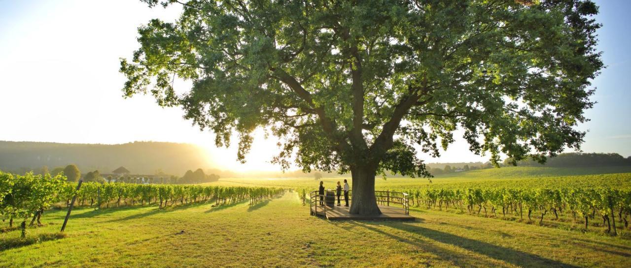 Denbies Vineyard Hotel Доркинг Экстерьер фото