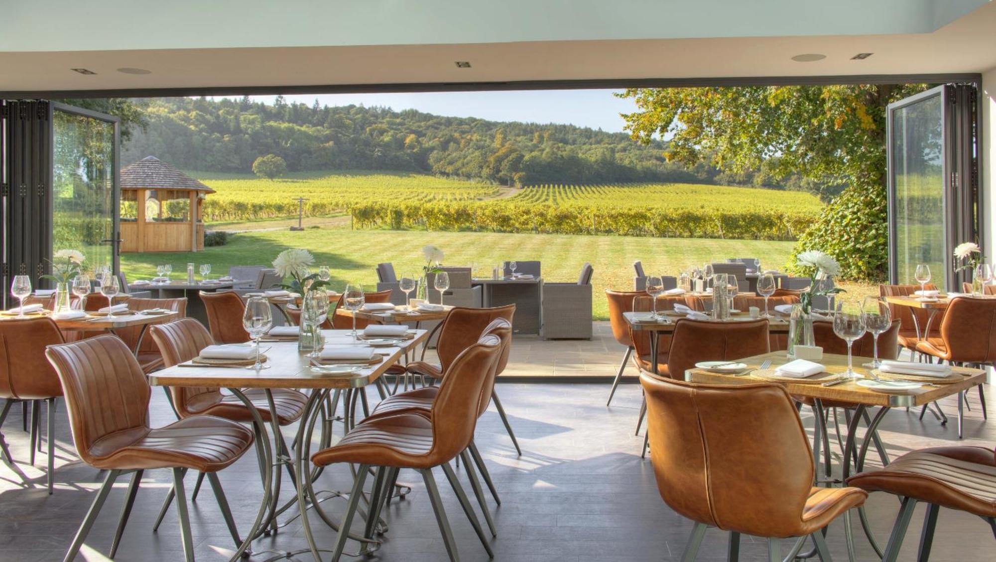 Denbies Vineyard Hotel Доркинг Номер фото